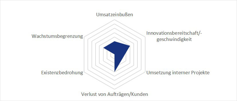 Risiken des Fachkräftemangels für Umsatz, Wachstum, Innovation und die Umsetzung von Unternehmensprojekten.