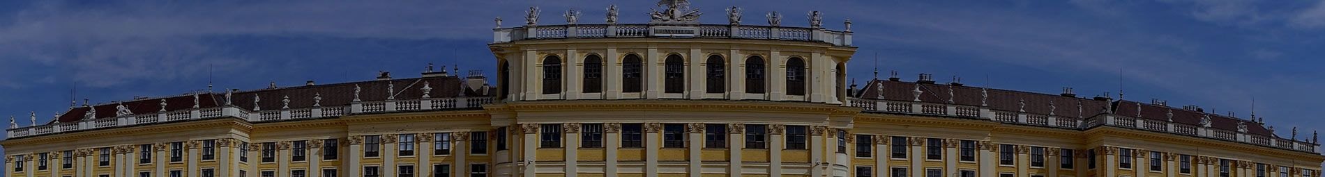 B2B market analysis Austria